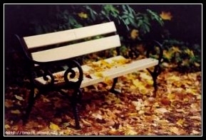 [fot. tm]